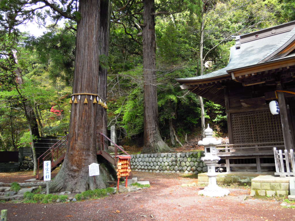 マルモのおきてロケ地画像 日枝神社